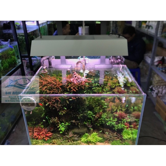 TẤM CHẮN SÁNG CHO ĐÈN VIVID 2, WRGB2