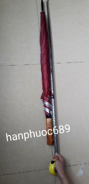 Sỉ Ô dù nan kép to đại ( 2 xương)