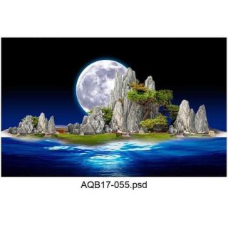 Tranh 3D cho bể cá kt 60x40cm