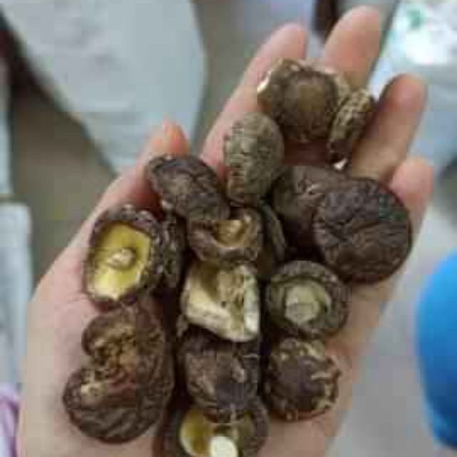 Nấm hương Đà Lạt ngon 29k/100g