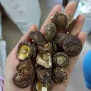 Nấm hương Đà Lạt ngon 29k/100g