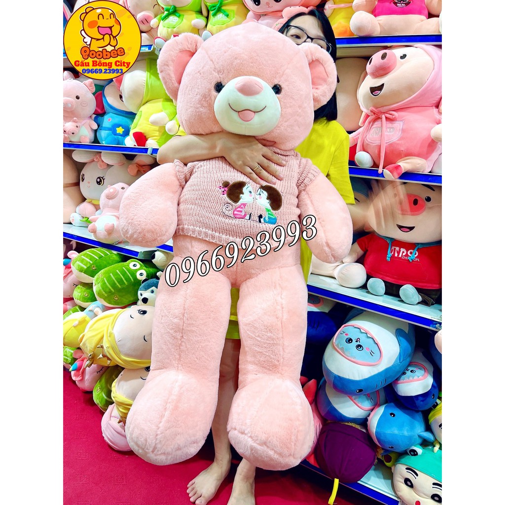 Gấu Bông Teddy áo len Kiss 2 Màu Cao Cấp Gấu Bông City