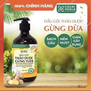 Dầu gội gừng dừa hữu cơ