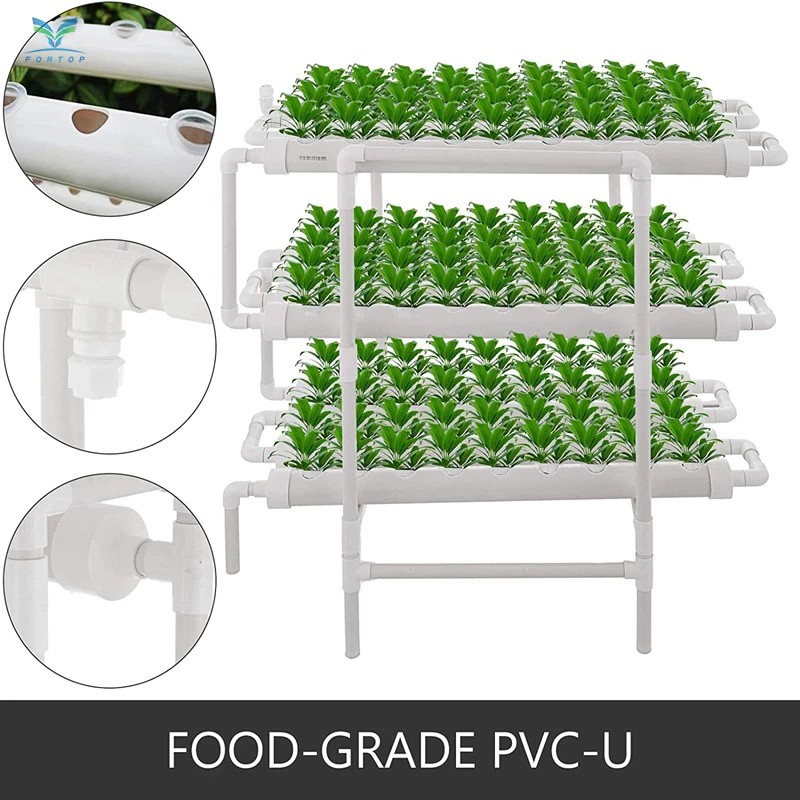 Trồng Rau Thủy Canh - Giàn Trồng Cây Năng Suất Cao - Hạt Giống Mau Thu Hoạch