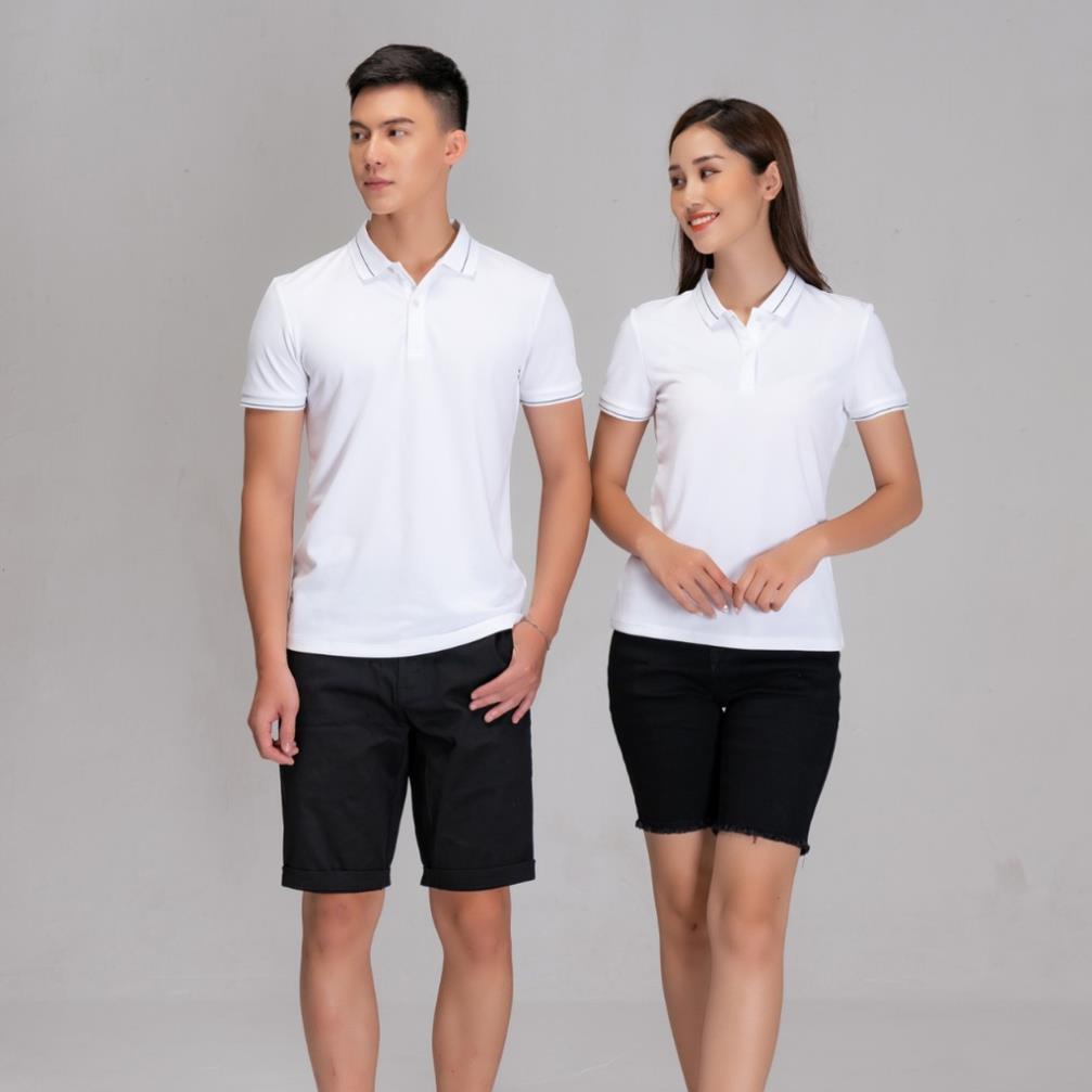 Áo thun polo nam Yody chính hãng xuất xịn áo phông polo cao cấp dáng basic cổ bẻ tay ngắn form rộng APM3791 2022