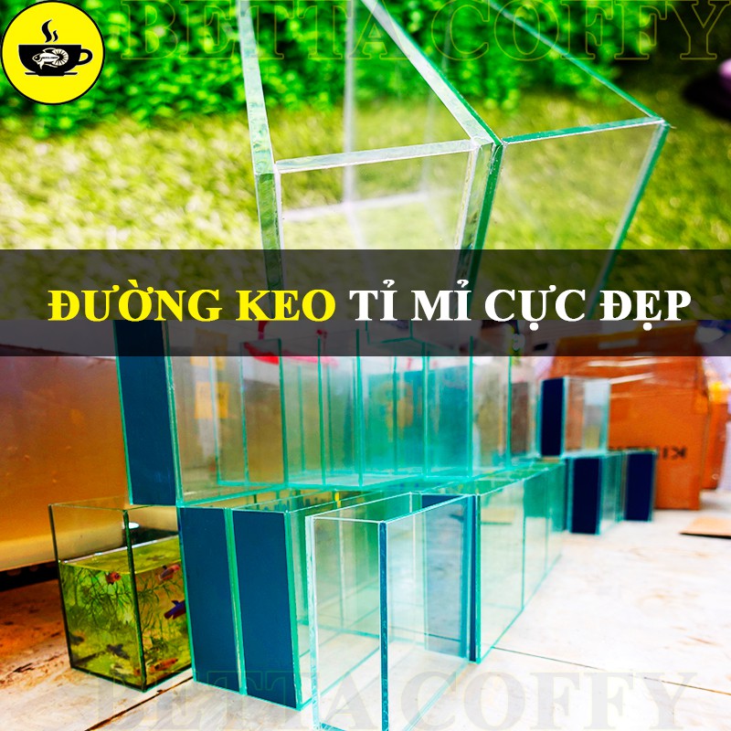 Bể Cá Hồ Kính mini để bàn dấu keo nuôi cá guppy cá chép