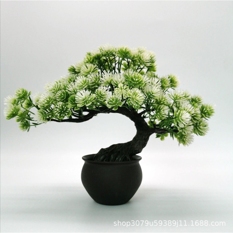 Cây cảnh trang trí nhựa bonsai