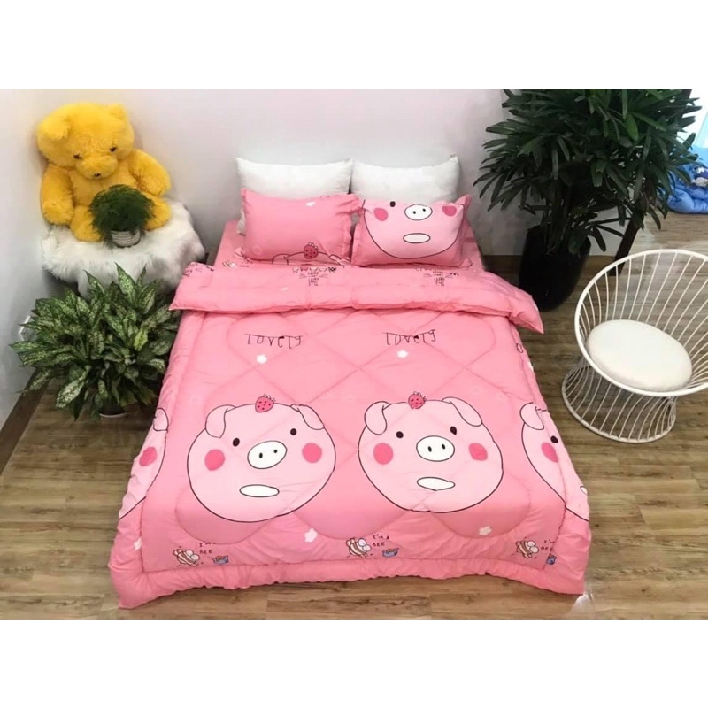 Set phao cotton poly dày dặn có chăn trần bông