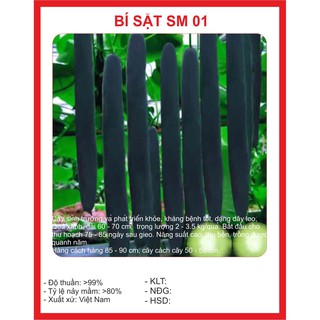 Hạt giống bí sặt - 2gr