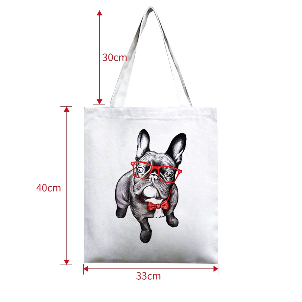 Túi Tote Haimeikang In Hình Động Vật Đáng Yêu