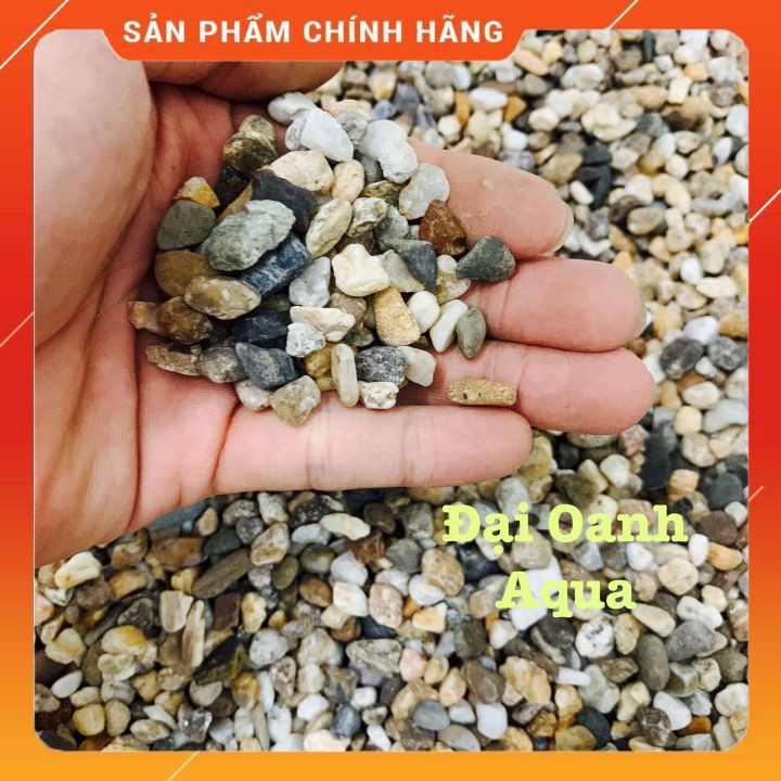 500gr Sỏi 3 màu size to trang trí bể cá thuỷ sinh-Trải nền bể cá