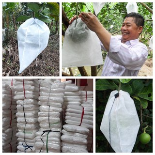 Bao Bưởi Vải 30*35 cm