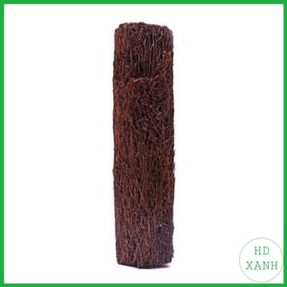 Dớn trụ trồng lan đường kính 10cm