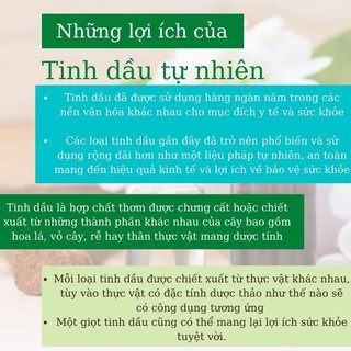 Tinh dầu Hoa Trà Caroline 10ml/50ml