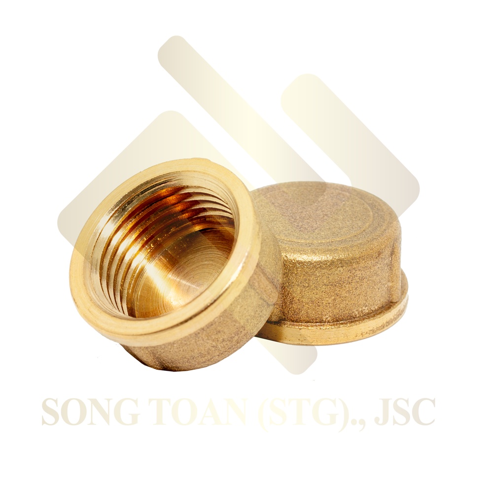 [BỊT REN 21 &amp; 27] Nút đầu bịt ren trong ngặn chặn dòng chảy &amp; khí nén ren BSP - Đồng đúc (Brass pipe plug cap female)