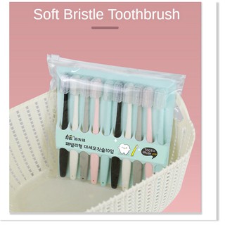Combo 10 bàn chải đánh răng 18cm lông mềm