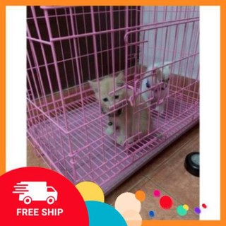 NLQK Chuồng chó mèo size to nan dầy 2 cửa NL