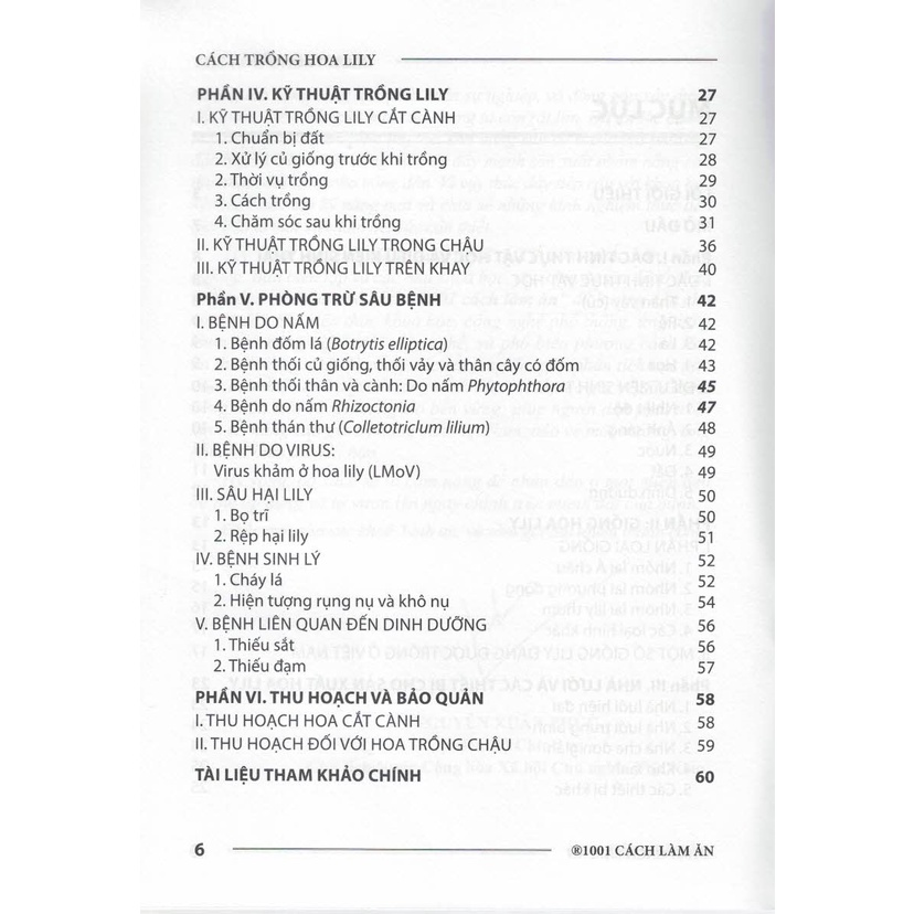 Sách - Cách Trồng Hoa Lily