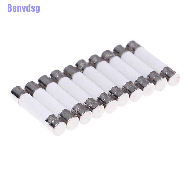 Bộ 10 Cầu Chì Sứ 20A 250V 6X30Mm Cho Lò Vi Sóng