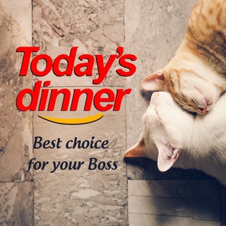 Today's Dinner - Thức ăn hạt CHO MÈO Mọi Lứa Tuổi 40Gr