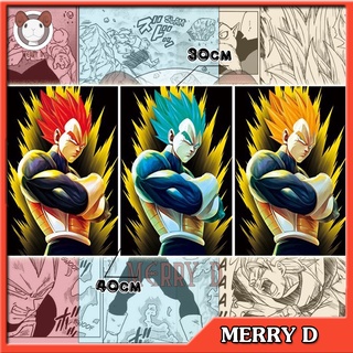POSTER 3 TRONG 1 3D 40x30cm DRAGON BALL VEGETA - THAY ĐỔI GÓC NHÌN - BIẾN HÌNH