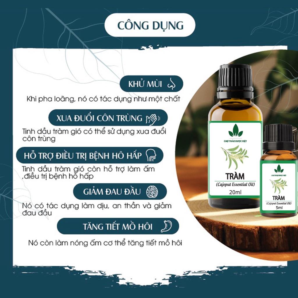 Tinh dầu Tràm nguyên chất 20ml, giữ ấm cho bé, đuổi muỗi, côn trùng - Chợ Thảo Dược Việt