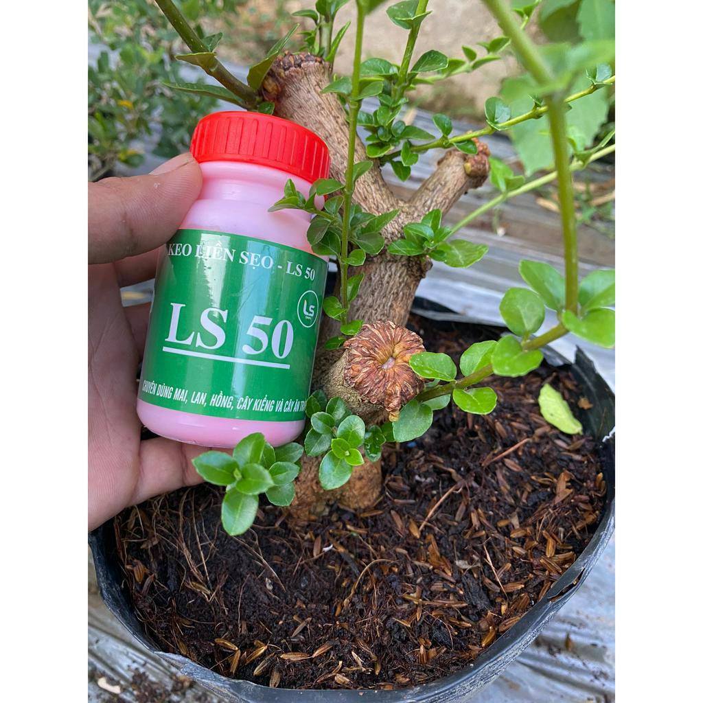 Keo Liền Sẹo Cao Cấp LS 60 - Hũ 25Gr Kéo Sẹo Nhanh, Diệt Khuẩn, Bảo Vệ Cây Trồng