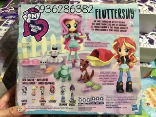 Tiệm thú cưng của Fluttershy