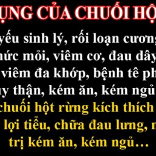 Chuối hột rừng khô Tây Bắc