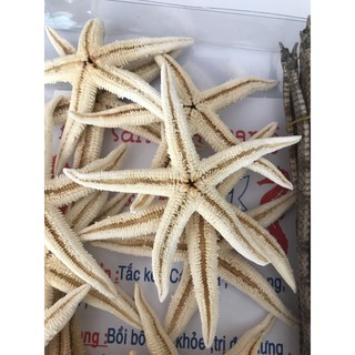 15 con sao biển khô size từ 8-12cm