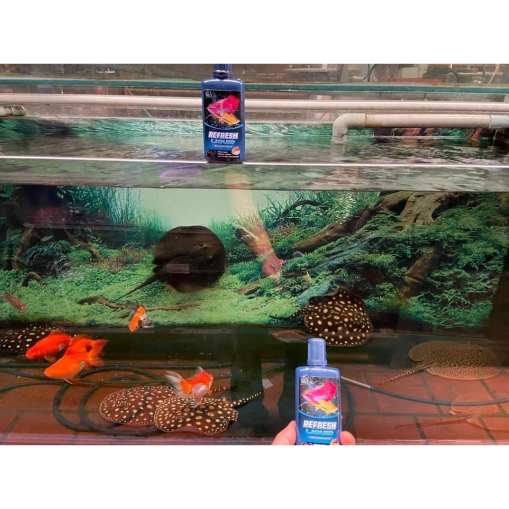 REFRESH LIQUID Dưỡng Chất Đậm Đặc Giúp Cá Khỏe, Giảm Stress Nhanh, Tăng Sức Đề Kháng, Ngăn Ngừa Bệnh Tật Chai 100ml