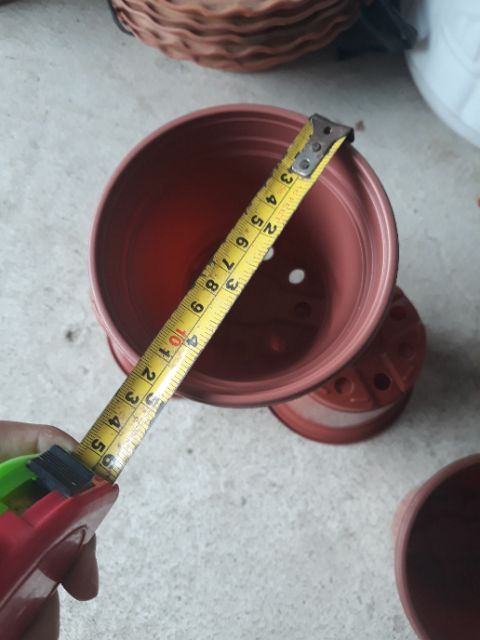 Chậu ươm cây đường kính 12cm