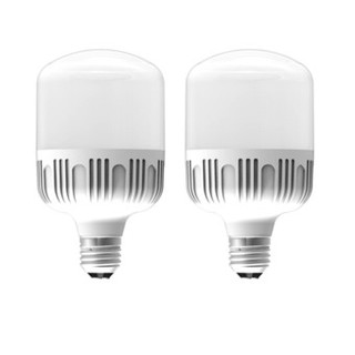 Combo 2 bóng đèn led trụ kín nước 40w loại 1