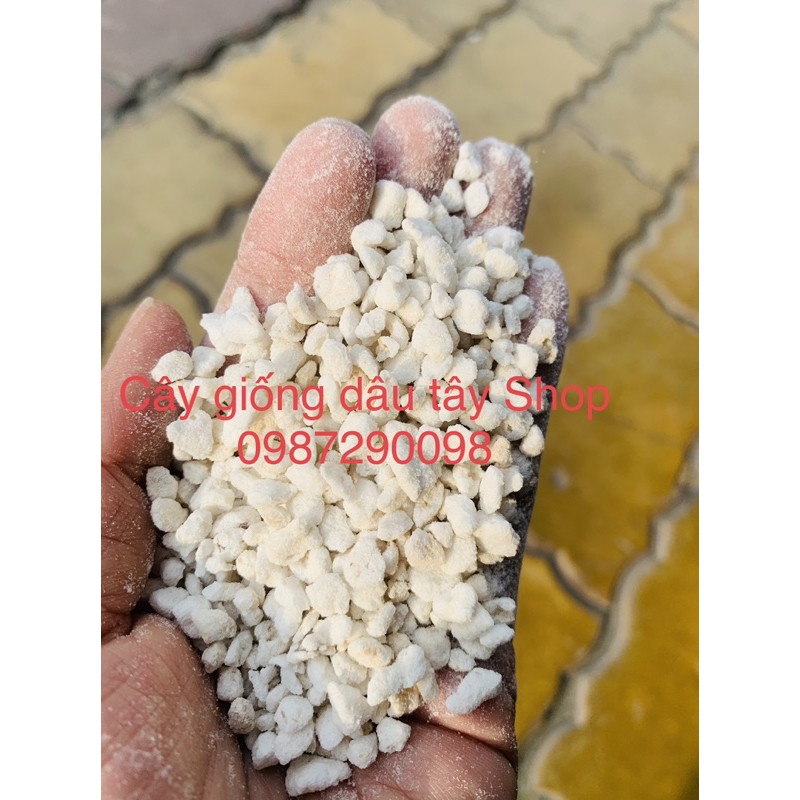 Đá perlite - đá trân châu dùng trộn đất