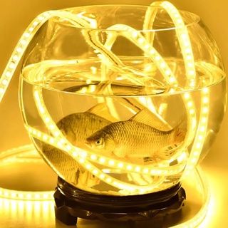 Đèn Led dây đôi 5730 siêu sáng 2 hàng ( Đơn giá / 1 mét )