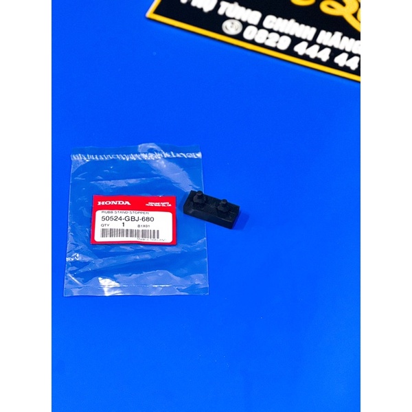 CAO SU CHỐNG ĐỨNG WAVE THÁI 110