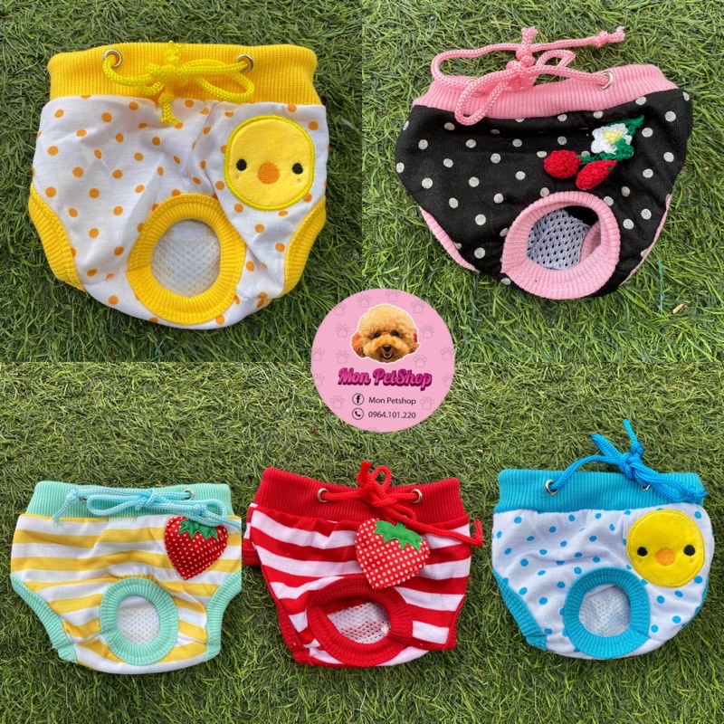 Quần chíp sinh lý cho chó mèo cái