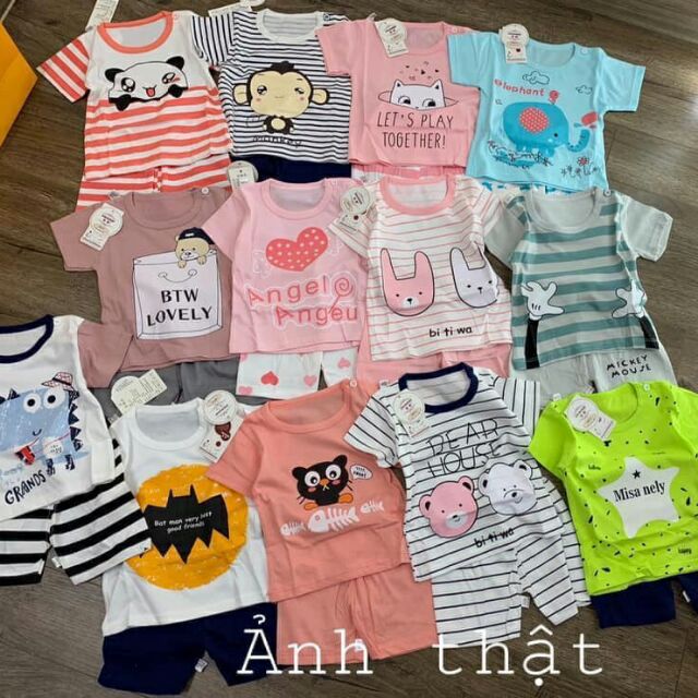 Cotton xuất hàn
