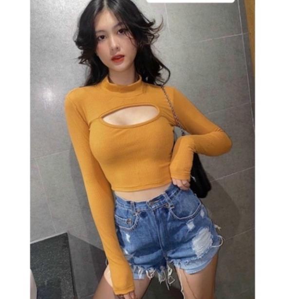 Áo Croptop Ôm Tay Dài Nữ Khoét Ngực Sexy Thun Gân DRACR161