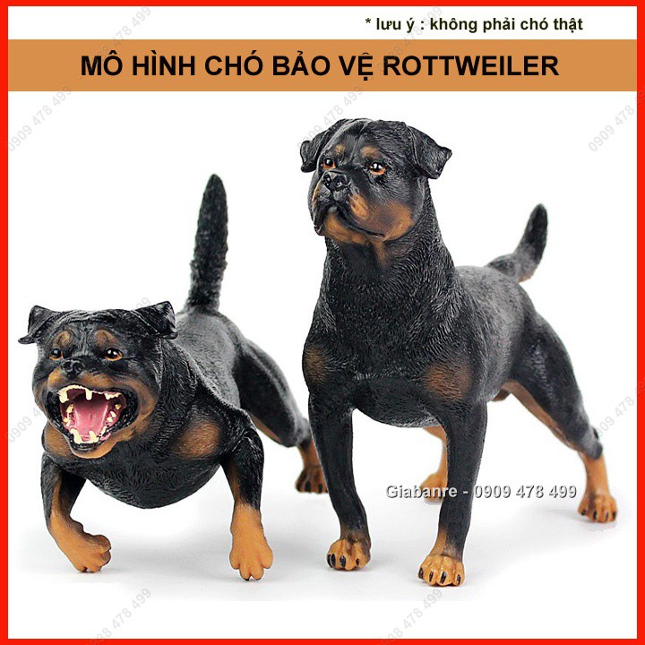 Mô Hình Giống Chó Giữ Nhà Tấn Công Rottweiler - 22cm - 4685