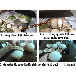 (Ảnh thật) Dao lấy cơm dừa, cùi dừa loại tốt