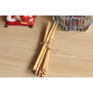 Set 10 Ống Hút Tre Tự Nhiên (Size Sinh Tố) _ Thân Thiện Môi Trường