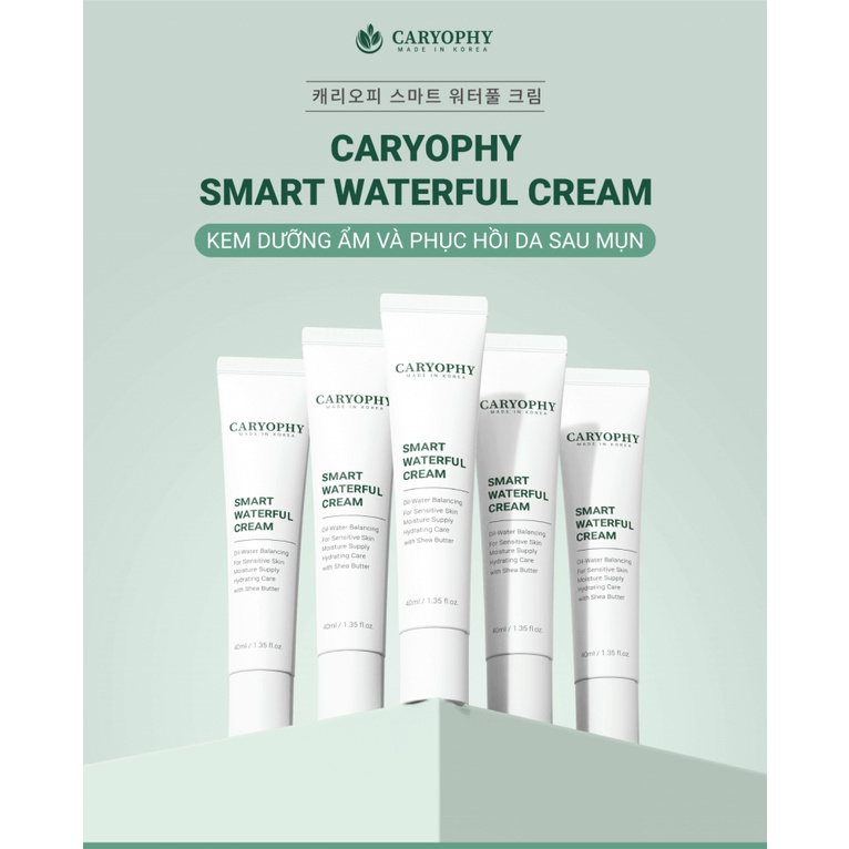 [HÀNG CHÍNH HÃNG] Kem Dưỡng Ẩm, Làm Dịu Và Phục Hồi Da Chuyên Sâu Caryophy Smart Waterful Cream 40ml