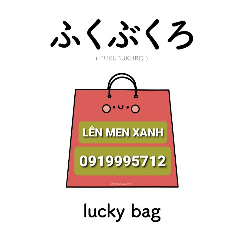 Túi may mắn Lucky Bag Fukubukuro