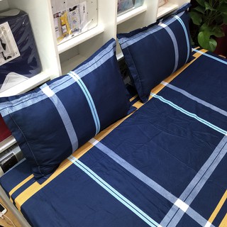 Combo 2 Vỏ Gối Nằm Kích Thước 45x65 Siêu Đẹp ( được chọn mẫu )