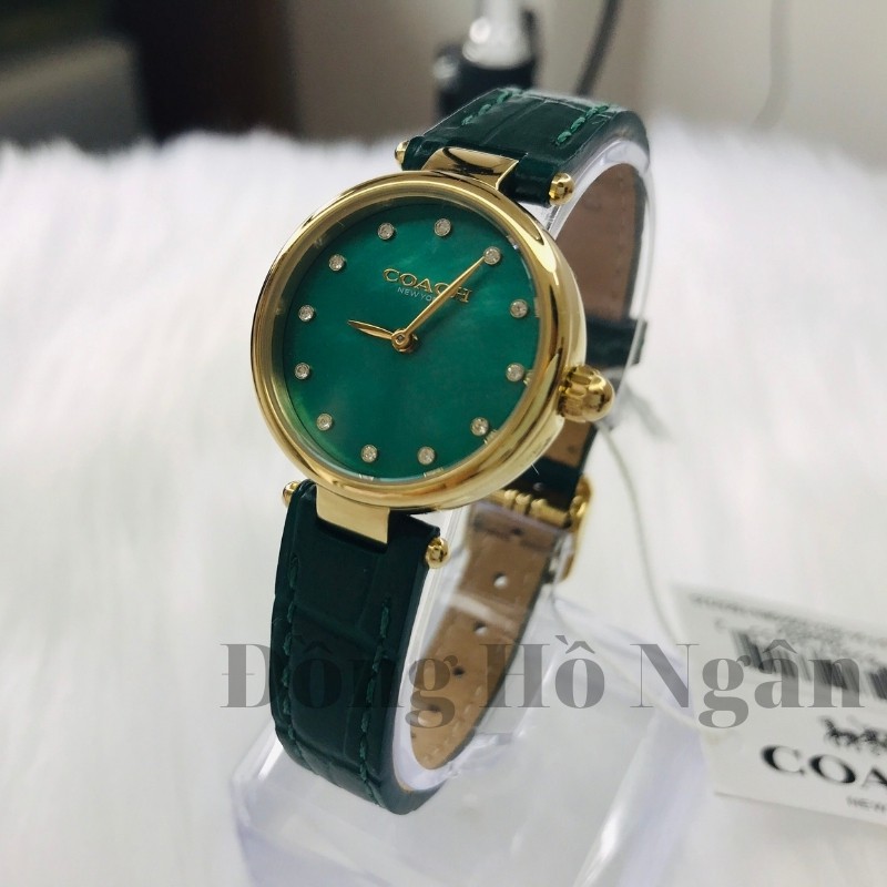 Đồng hồ nữ Authentic - Đồng hồ nữ Coach NNDH01 dây da size 26mm