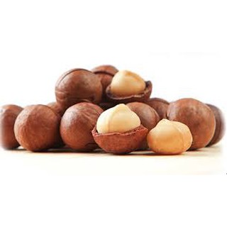 Hạt Macca Daklak sấy nứt SZ đại
