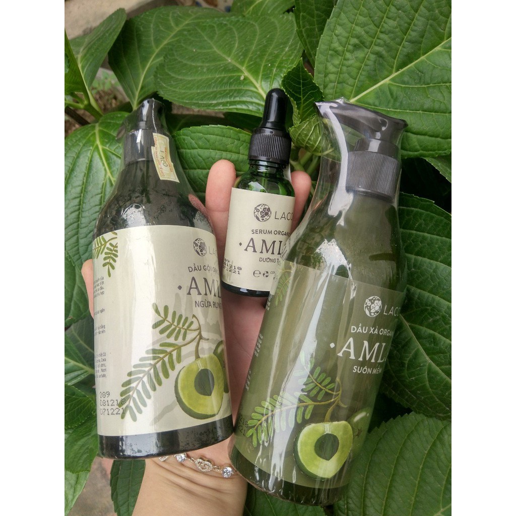 Bộ Dầu gội – Dầu xả – Serum Amla Laco chống rụng kích thích mọc tóc | BigBuy360 - bigbuy360.vn