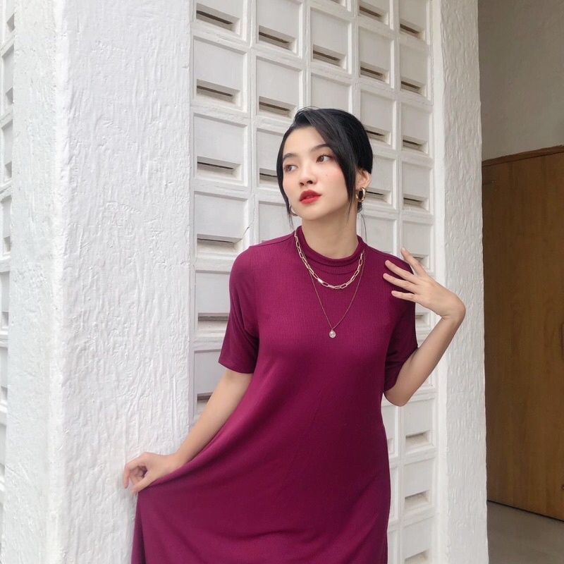 Đầm cổ cao thun gân dáng xoè AfterBefore