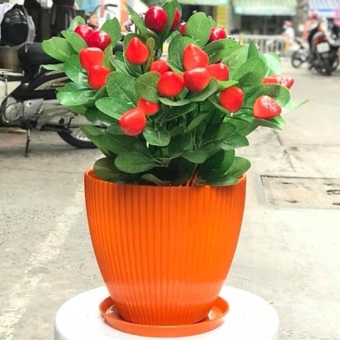 Chậu Tròn Sọc, Sọc Gân trồng hoa kiểng nhỏ trang trí bàn + đĩa lót vừa chậu